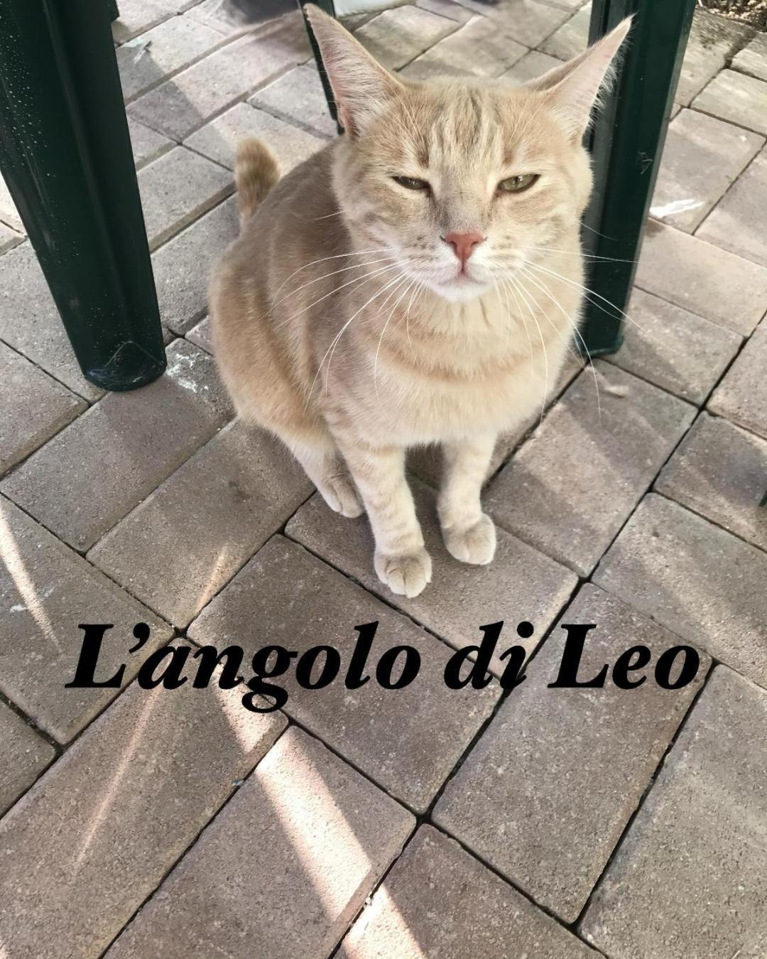L'Angolo Di Leo Borgofranco d'Ivrea Exterior foto